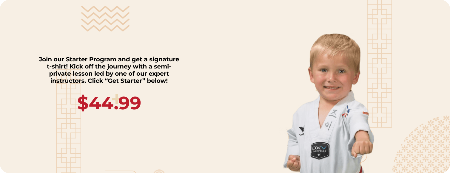 Little Dragons banner