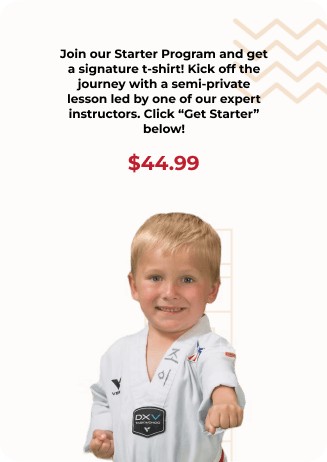 Little Dragons banner